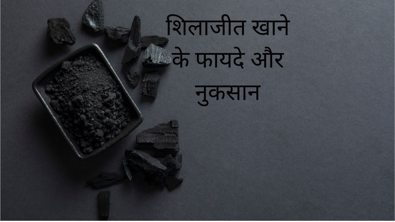 शिलाजीत खाने के फायदे और नुकसान