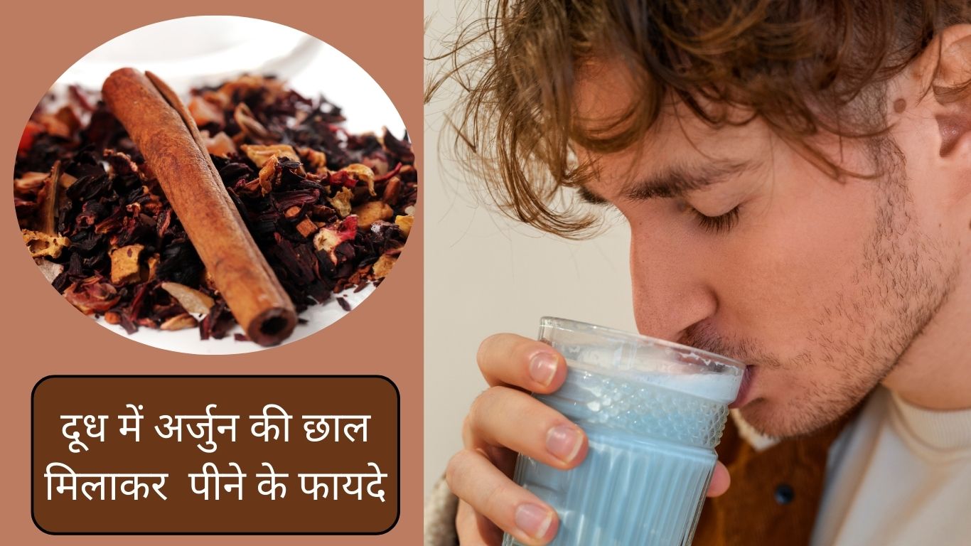 दूध में अर्जुन की छाल मिलाकर पीने के अनोको फायदे जाने सेवन का तरीका